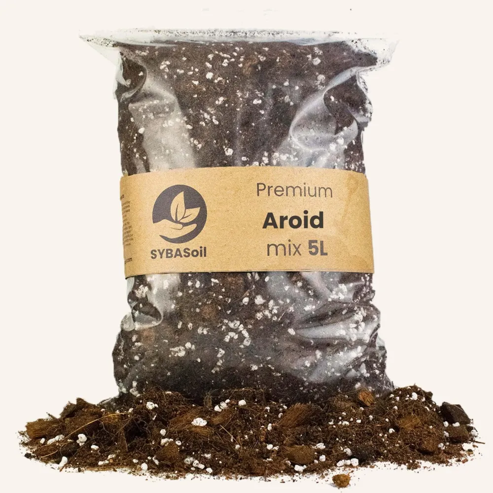 Araceae-blandning - 5L