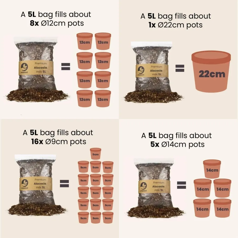 Araceae-blandning - 5L