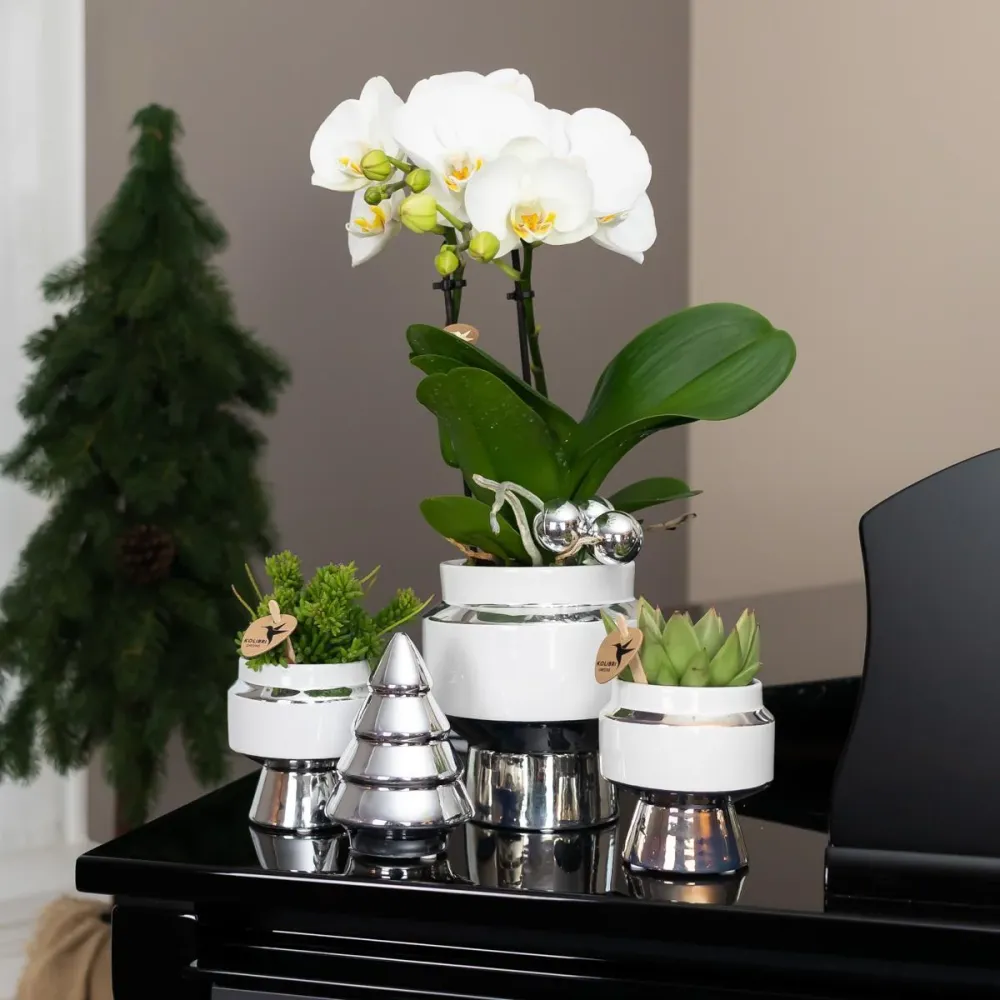 Le Chic: Silver-vit keramikkruka