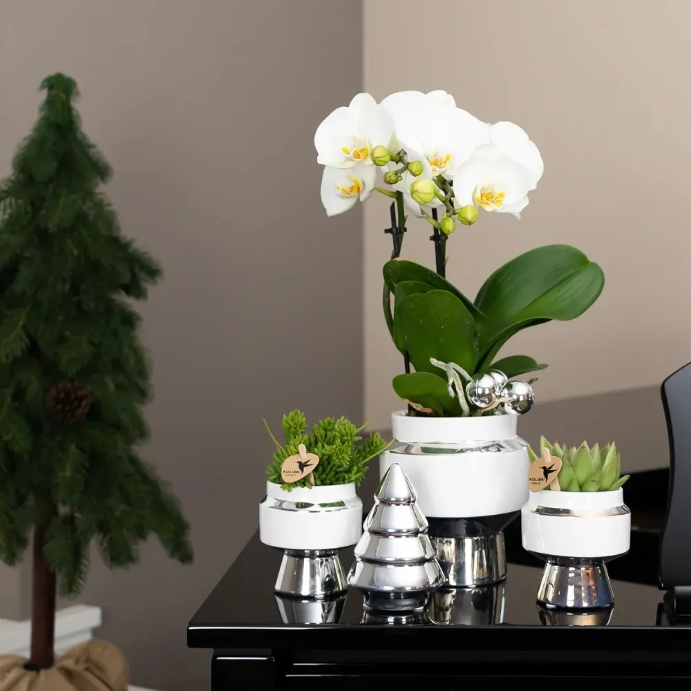 Le Chic: Silver-vit keramikkruka