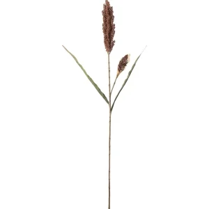 Durragräs