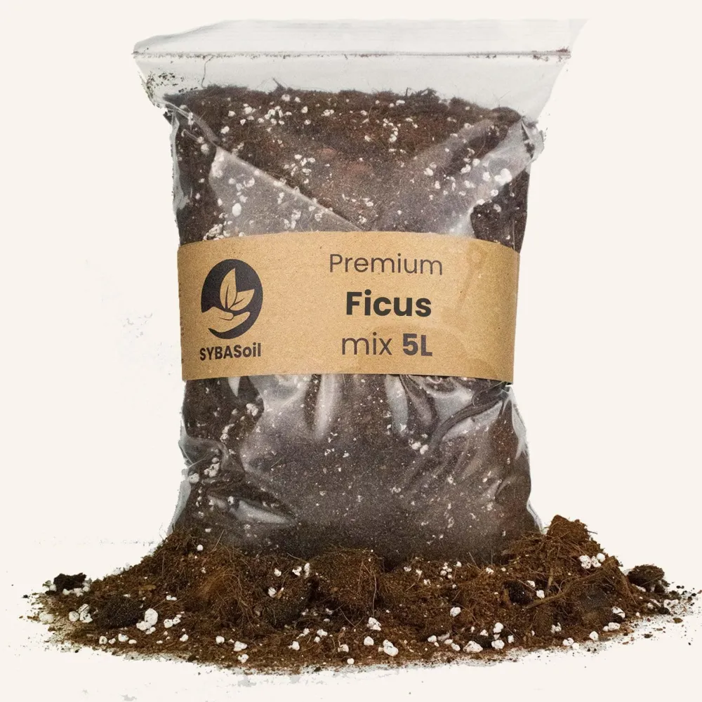 Ficus krukjord - 5L