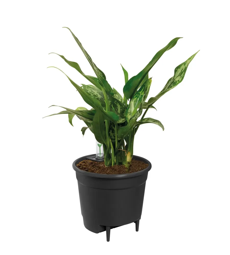 Fristående insats - 43 cm