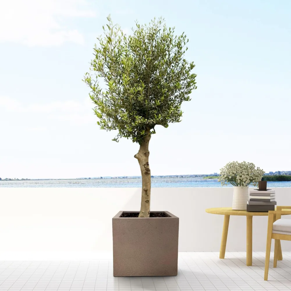 Grigo Cube Pot Brons 40 cm