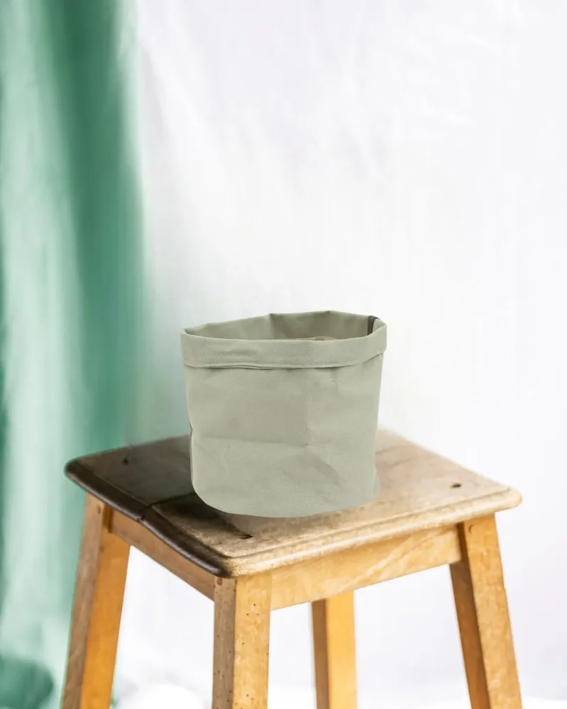 Jade växtkorg 22 cm