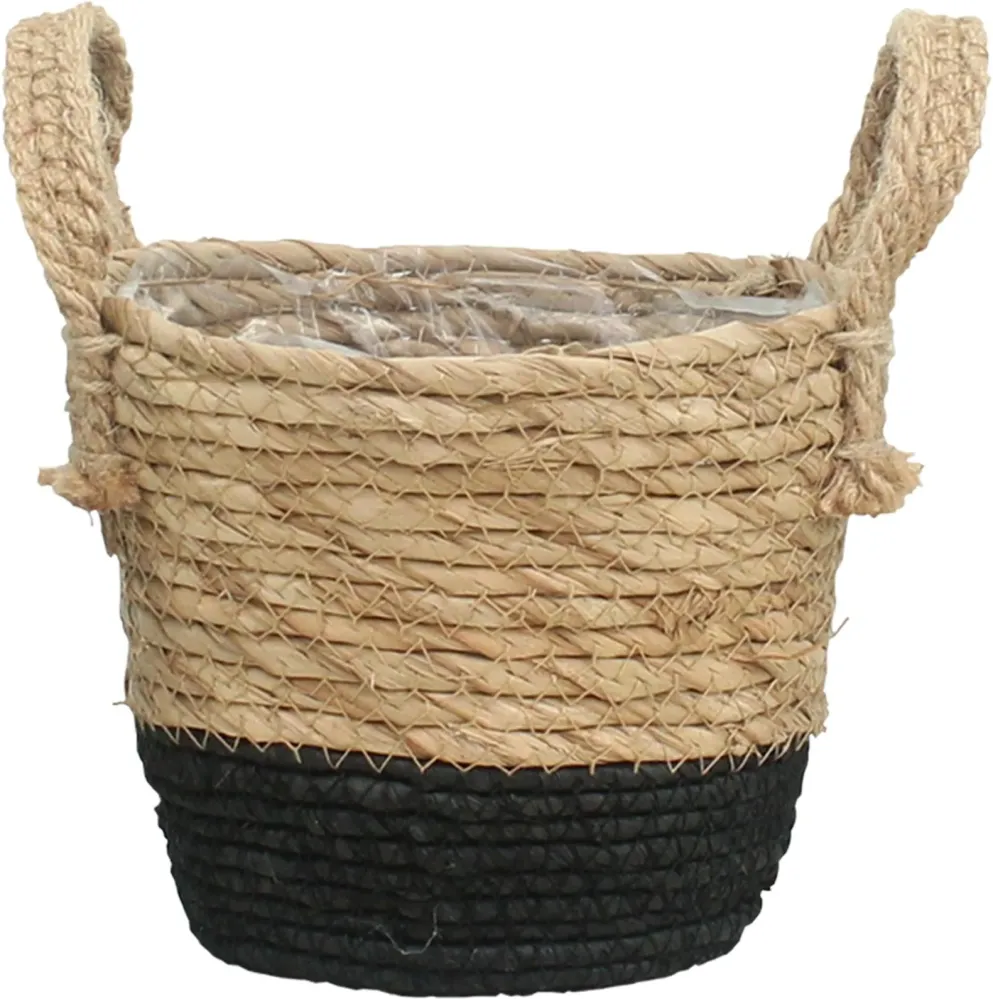 Java korg - D20