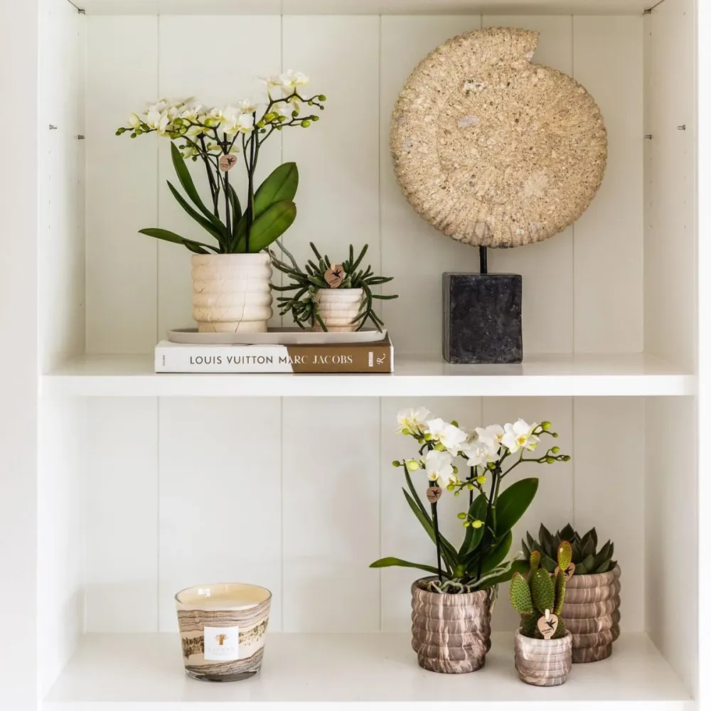 Marble Light keramisk sierpott