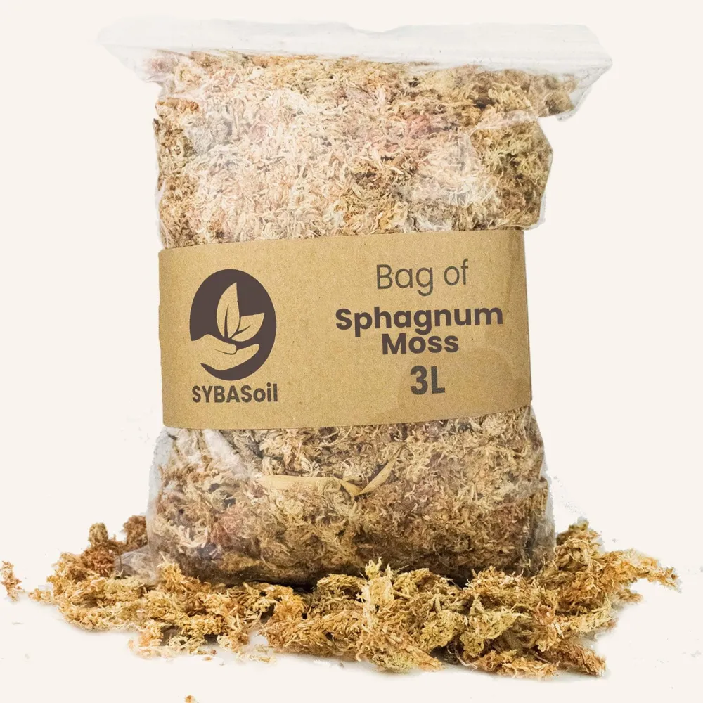 Sphagnummossa - 3L