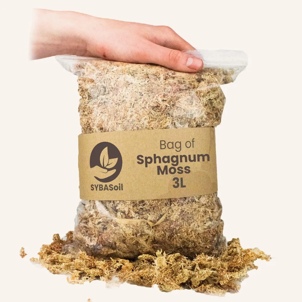 Sphagnummossa - 3L