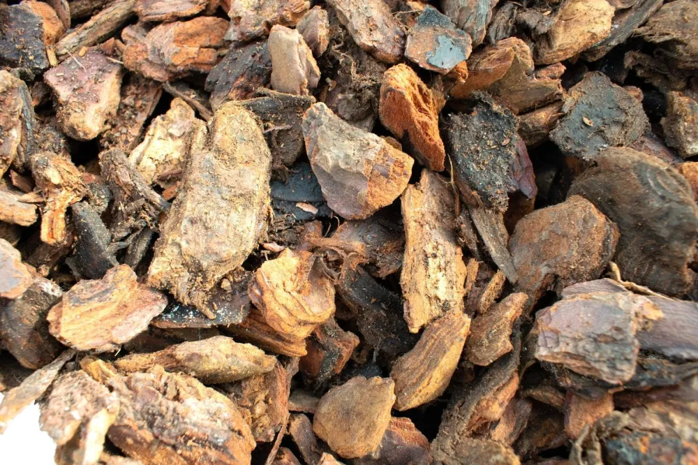 Tallbark - 3L