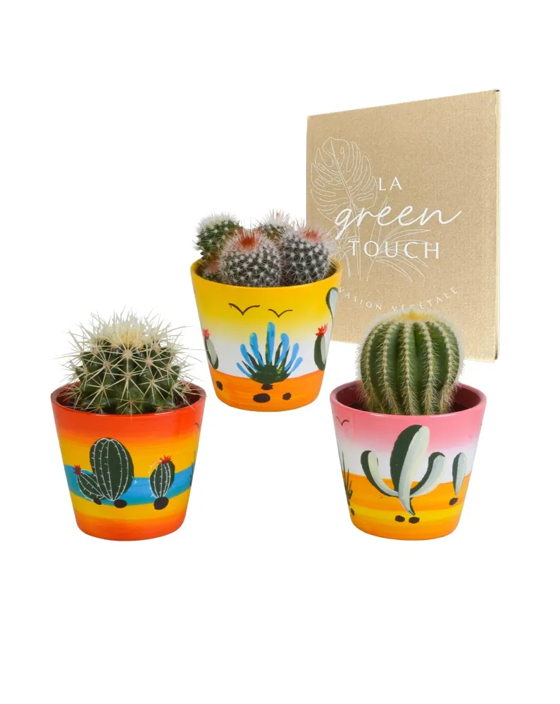 Cactus Trio